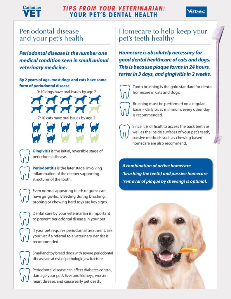 dental office toolkit federal